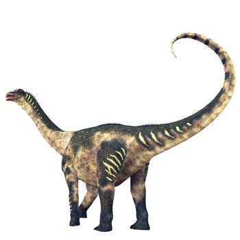 Antarctosaurus was a titanosaur sauropod that lived in South America in the Cretaceous Period.