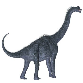 Brachiosaurus was a herbivorous sauropod dinosaur that lived in the Jurassic Age of North America.