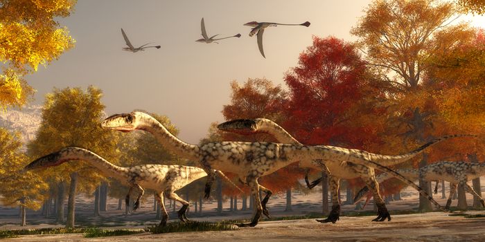 Three flying Eudimorphodons pass a group of Coelophysis hunting for prey through a forest of autumn trees in the Triassic Period.