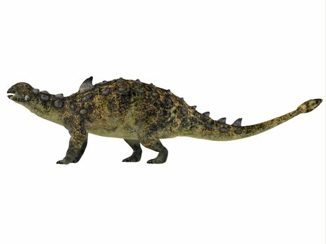 Euoplocephalus was a armored herbivorous dinosaur that lived in the Cretaceous Period of Canada. 