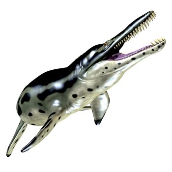 Kronosaurus pliosaur was a carnivorous marine reptile that lived in Cretaceous seas.