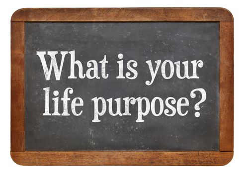 What is your life purpose ? A question on a vintage slate blackboard.