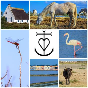 Collage of several Camargue photos and famous Camargue cross in the middle, France