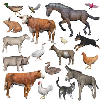 Set of farm animals isolated in white background - 3D render