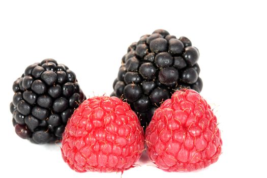Rasp- and Blackberries