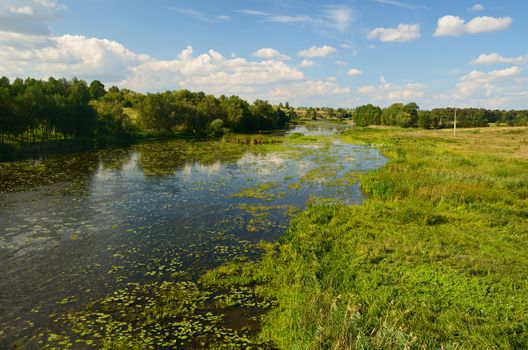 Rural landscape with river and water lilies and lots of shore grass