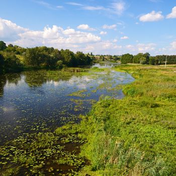 Rural landscape with river and water lilies and lots of shore grass