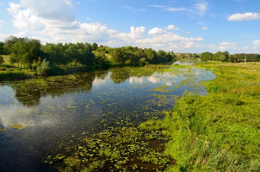 Rural landscape with river and water lilies and lots of shore grass