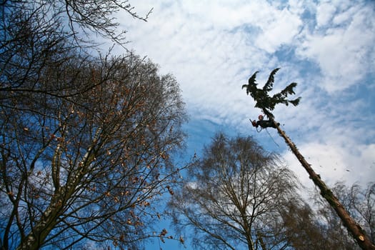 Woodcutter in action in denmark