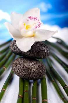 Stones and bamboo, zen, magical ambient atmosphere theme