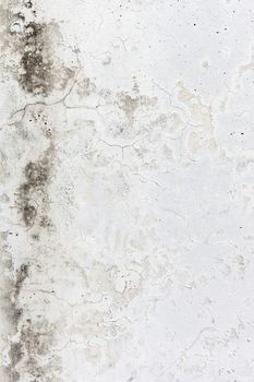 Grunge white background Cement old texture wall