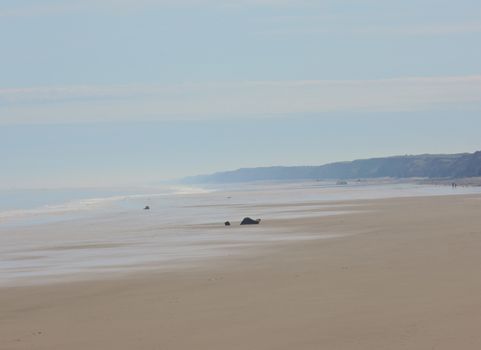 An image from Mappleton beach on the beautiful Yorkshire coast.