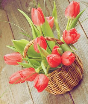 Bouquet of Spring Tulips with Water Drops in Wicker Basket closeup on Wooden background. Retro Styled