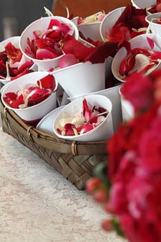 Rose petals in cup for scattering in wedding