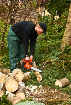 Woodcutter in action in denmark