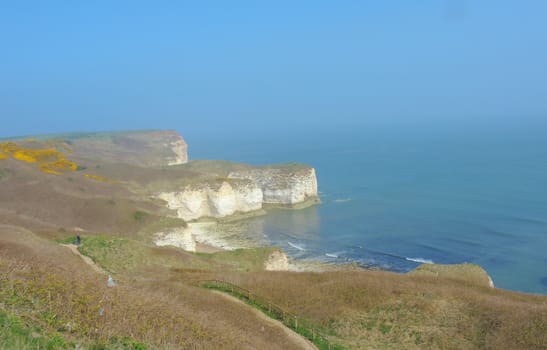 An image from Flamborough Head on the beautiful Yorkshire coast.