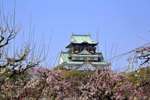 Osaka Castle and plum blossoms in spring season