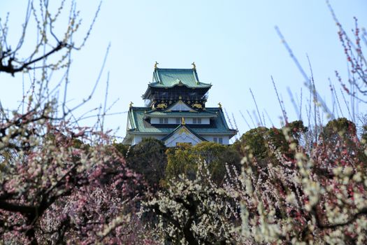 Osaka Castle and plum blossoms in spring season