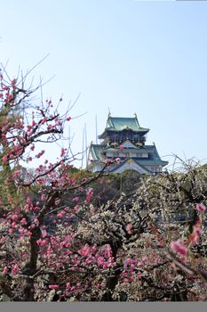 Osaka Castle and plum blossoms in spring season