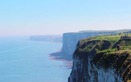 An image from Bempton cliffs, a nature reserve on the beautiful Yorkshire coast.