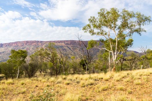 This photo was shot from Alice Springs which located in Northern Terrritory, Australia. This is the dry area of Australia. There are many of Aboriginals stay there.
