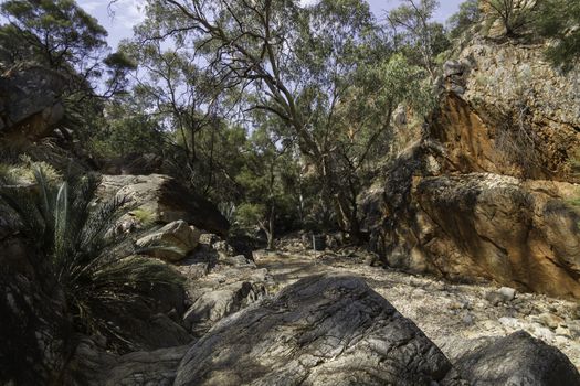 This photo was shot from Alice Springs which located in Northern Terrritory, Australia. This is the dry area of Australia. There are many of Aboriginals stay there.