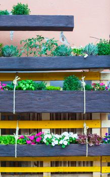 View of flowers pot in the house garden