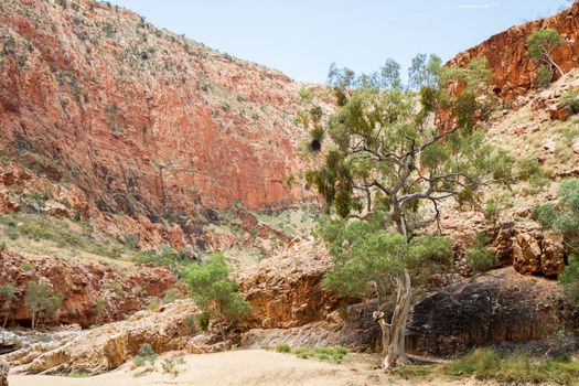 This photo was shot from Alice Springs which located in Northern Terrritory, Australia. This is the dry area of Australia. There are many of Aboriginals stay there.