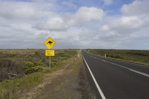 This photo was shot from Twelve Apostles which is on the Great Ocean Road, Australia.