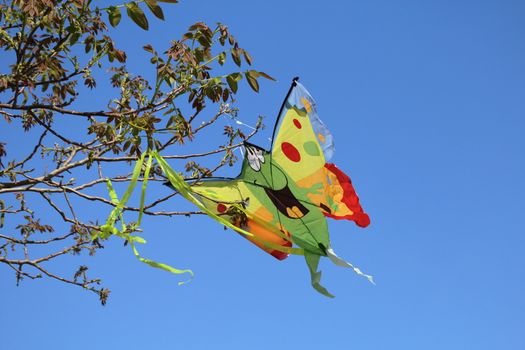 Colorful kite blowing in the wind while stuck in a tree.