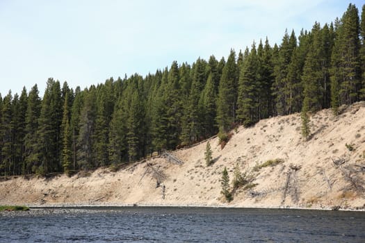 Sandy shoreline of Yellowstone River cutting through the National Park in Wyoming.