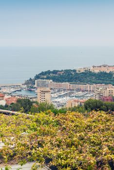 Buildings of Monte Carlo - Monaco, France.
