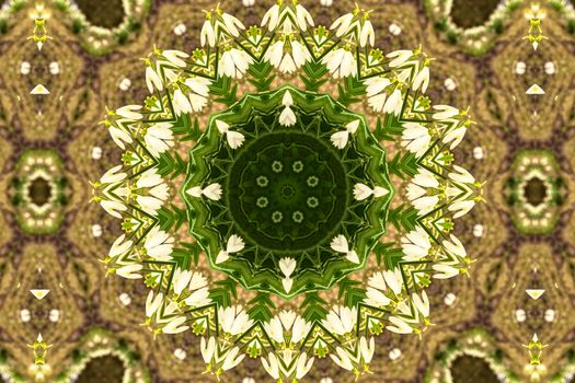 kaleidoscopic flower pattern background of white snowdrops