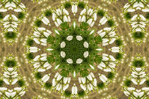kaleidoscopic flower pattern background of white snowdrops