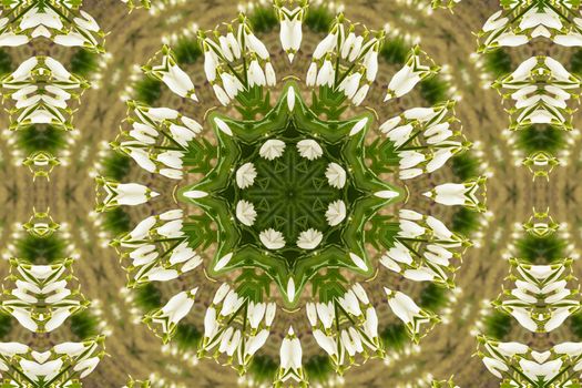 kaleidoscopic flower pattern background of white snowdrops