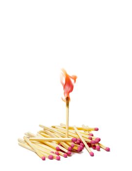 A lot of matches on white isolated background. A match is lit.