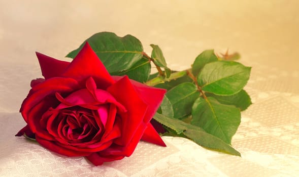 A large red rose with green leaves lies on the silk coverlet.