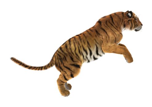 3D digital render of a tiger jumping isolated on white background