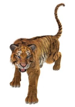 3D digital render of a tiger isolated on white background