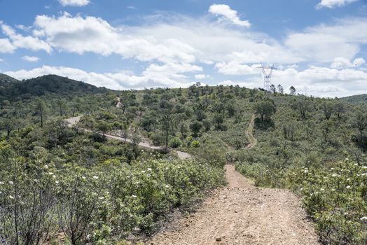 nature with sand roads in portugal algarve