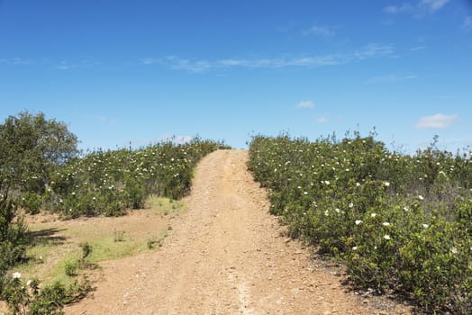 walking path in portugal algarve