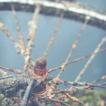 Rusty Bike Or Bicycle Wheel By Water