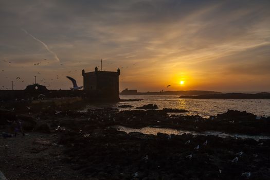 Essaouira coastal town founded by the Portuguese in morocco africa