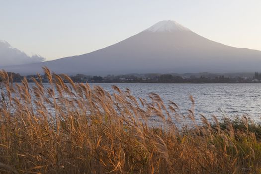 This photo was shot from the area around Mt.Fuji in Autumn. It is time to start snow cap on the top of Mt.Fuji. There are 5 lake around Mt.Fuji.