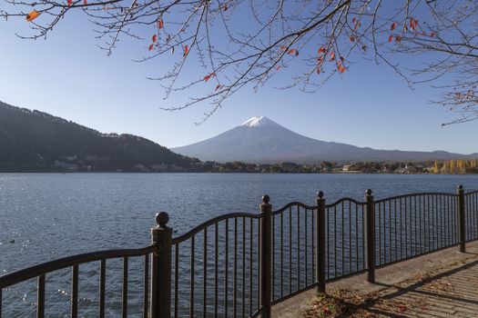 This photo was shot from the area around Mt.Fuji in Autumn. It is time to start snow cap on the top of Mt.Fuji. There are 5 lake around Mt.Fuji.