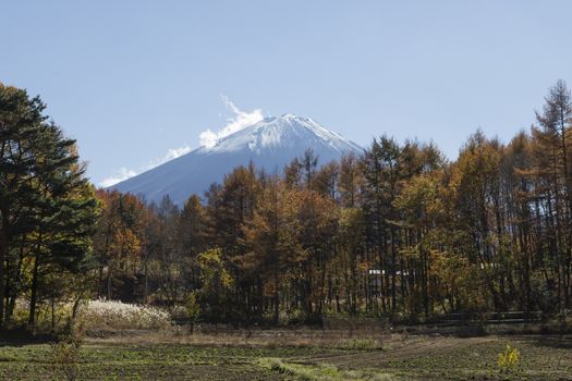 This photo was shot from the area around Mt.Fuji in Autumn. It is time to start snow cap on the top of Mt.Fuji. There are 5 lake around Mt.Fuji.