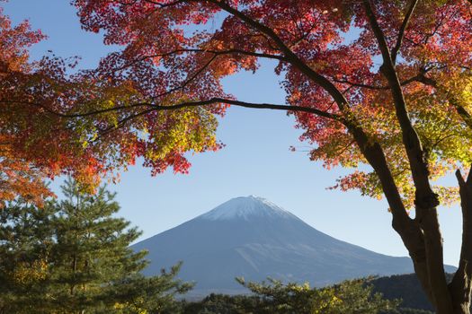 This photo was shot from the area around Mt.Fuji in Autumn. It is time to start snow cap on the top of Mt.Fuji and maple leaves change to autumn color. There are 5 lakes around Mt.Fuji.