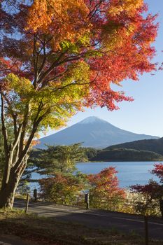 This photo was shot from the area around Mt.Fuji in Autumn. It is time to start snow cap on the top of Mt.Fuji and maple leaves change to autumn color. There are 5 lakes around Mt.Fuji.