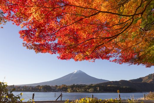 This photo was shot from the area around Mt.Fuji in Autumn. It is time to start snow cap on the top of Mt.Fuji and maple leaves change to autumn color. There are 5 lakes around Mt.Fuji.