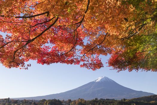 This photo was shot from the area around Mt.Fuji in Autumn. It is time to start snow cap on the top of Mt.Fuji and maple leaves change to autumn color. There are 5 lakes around Mt.Fuji.